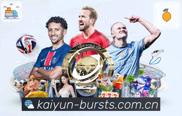 稳定与安全认证证书